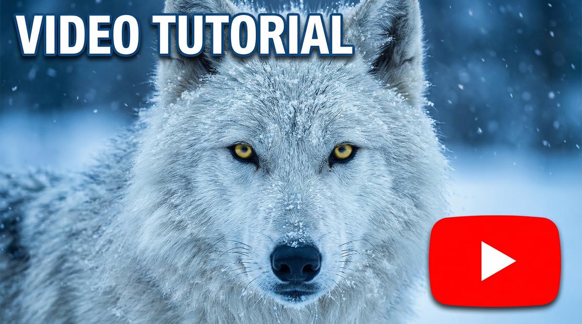 海角社区北极狼追踪视频教程